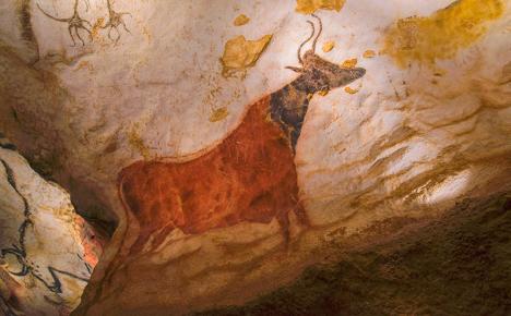 Vache rouge à tête noire de la grotte de Lascaux. © Photo Dan Courtice