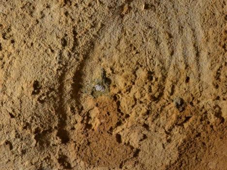 Gravures néandertaliennes découvertes dans la grotte de la Roche-Cotard à Langeais. © journals.plos.org