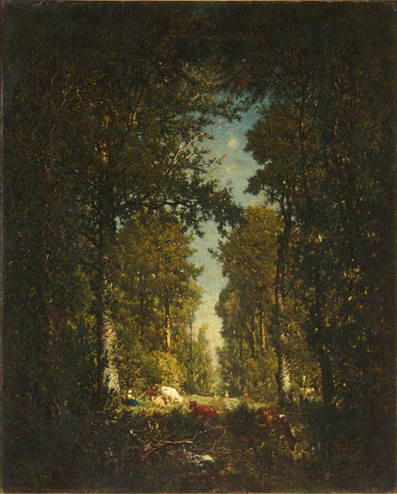 Théodore Rousseau (1812-1867), Une avenue, forêt de l’Isle-Adam, 1849, huile sur toile, 101 × 81 cm, Musée d’Orsay, Paris, France. © RMN-GP / Hervé Lewandowski
