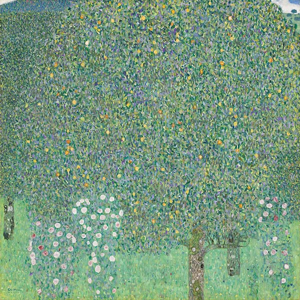gustav klimt rosiers sous les arbres 1905 copyright photo musee orsay google art project public domain