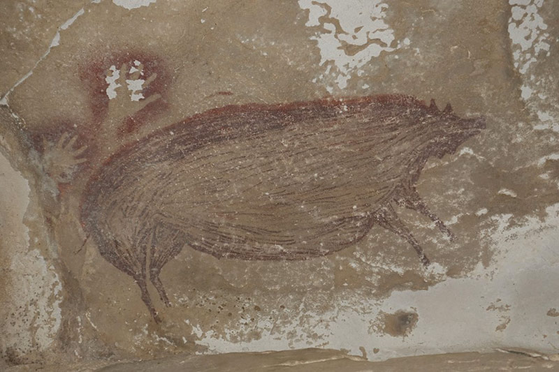 peinture-rupestre-cochon-45-500-ans-sula