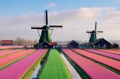 Moulins aux Pays-Bas, image générée par le logiciel d'intelligence artificielle Midjourney. - Crédit : Sérgio Valle Duarte, 2023