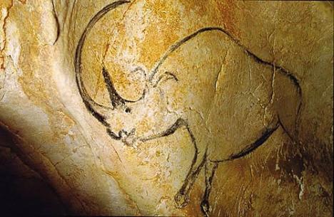 Rhinocéros à grande corne - Dessin sur un mur de la grotte Chauvet, Ardèche, France
