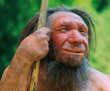 Reconstitution de l'Homme de Néandertal