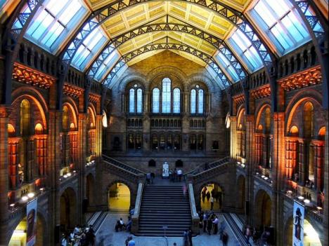Architecture Musée d'Histoire Naturelle de Londres