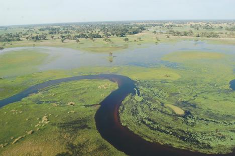 Le delta de l'Okavango au Bostwana. © Photo Joachim Huber, 2007  
