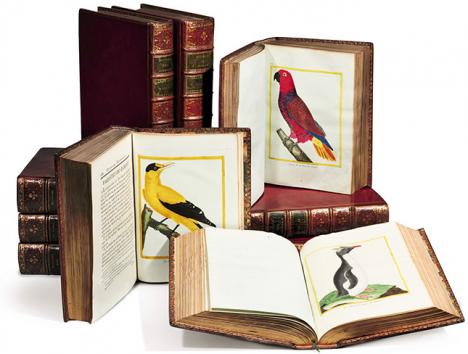 Buffon, Histoire naturelle des oiseaux, 10 volumes, 1770-1786, collection Chaponnière, vente du 18 novembre 2019. © Sotheby's