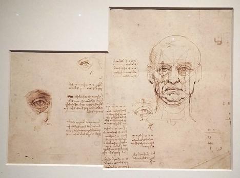 Léonard de Vinci, Etude des proportions du corps humain (c.1489-1490), Bibliothèque Reale, Turin  © Photo LudoSane pour Le Journal des Arts