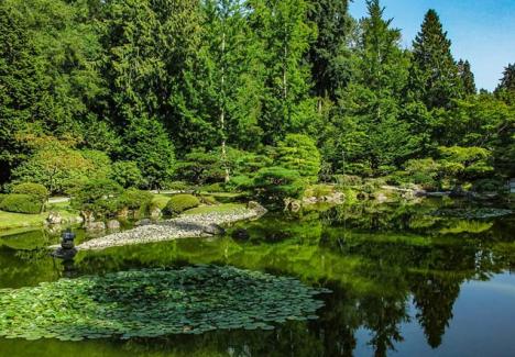Le jardin japonais au Washington Park de Seattle. Photo Burley Packwood, 2018, CC BY-SA 4.0.
