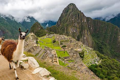 Des lamas dans l'ancienne cité inca du Machu Picchu - Photo Mailanmaik