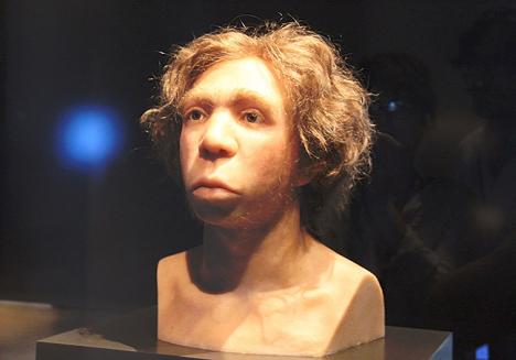 Reconstitution d'un Homme de Néandertal au Neues Museum de Berlin © Photo Gary Todd, 2016