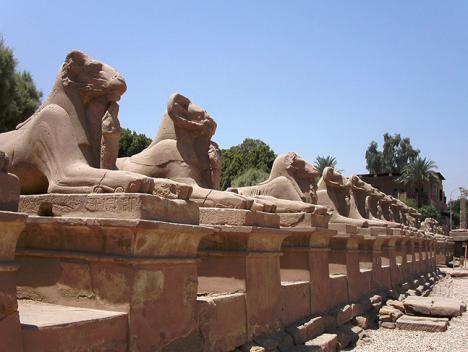 Sphinx du temple de Louxor. © Photo Thomas Nenninger, 2006,