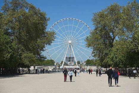 Grande Allée du jardin des Tuileries. © Photo Guilhem Vellut, 2016, CC BY 2.0