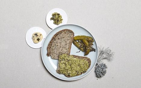 Julia Schwarz, Unseen Edible, nourriture à base de lichen. © Julia Schwarz
