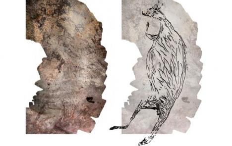 Peinture vieille de 17 000 ans représentant un kangourou, découverte en Australie. © Photo Damien Finch/illustration Pauline Heaney.