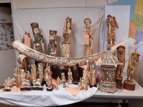 Les objets en ivoire saisis en 6 mois dans le département du Nord. © Office français de la biodiversité