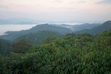 Forêts de Kaeng Krachan. © GRID-Arendal, 2016, CC BY-SA 2.0