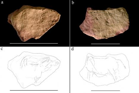 Photographies et tracés digitaux plaquettes en pierre gravées du paléolithique magdalénien de Montastruc. © 2022 Needham et al, CC BY 4.0