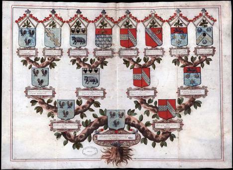Arbre généalogique d'Alexandre de Chaponay, chevalier né en 1675. © Archives du département du Rhône et de la métropole de Lyon