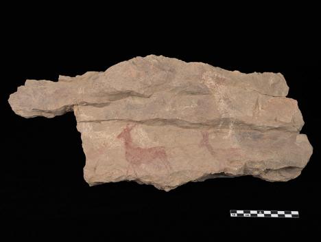 Peintures rupestres sur l'un des deux blocs découverts dans la zone de Hoces Del Cabriel. © UCLM