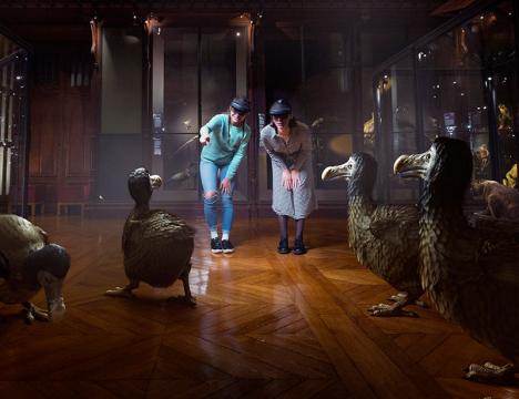 Revivre, expérience de réalité virtuelle créée par la start-up Saola pour le Muséum national d'histoire naturelle. © Saola