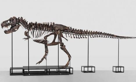Trinity, T-Rex vendu pour près de 5,9 millions d'euros par la maison Koller en Suisse. © Koller