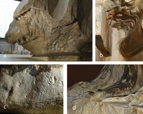 Étude des traces de polychromie sur les marbres du Parthénon. © Trustees of the British Museum