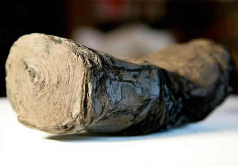 Un des papyrus d'Herculanum. © University of Kentucky