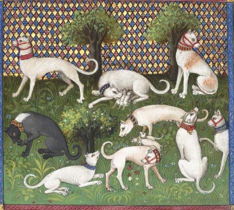 Miniature tirée du Livre de la chasse de Gaston Phébus, manuscrit de la fin du XIVe siècle. © Collection Musée du Chien / Centrale Canine