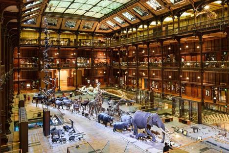 La Grande galerie de l'évolution du Muséum d'histoire naturelle de Paris. (MNHN) © Joe deSousa, 2015, CC0 1.0