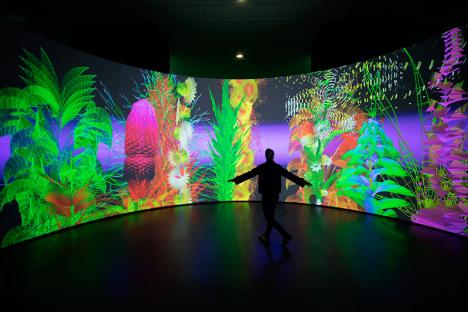 Miguel Chevalier, Extra Naturalia, vue de l'exposition de Miguel Chevalier au Musée des beaux-arts d'Angers. © Thomas Granovsky © Adagp Paris 2025