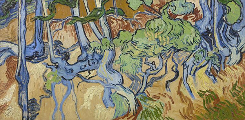 Vincent Van Gogh (1853–1890), <em>Racines d’arbres</em>, Auvers-sur-Oise, huile sur toile, 50 x 100 cm, juillet 1890 © Van Gogh Museum Amsterdam