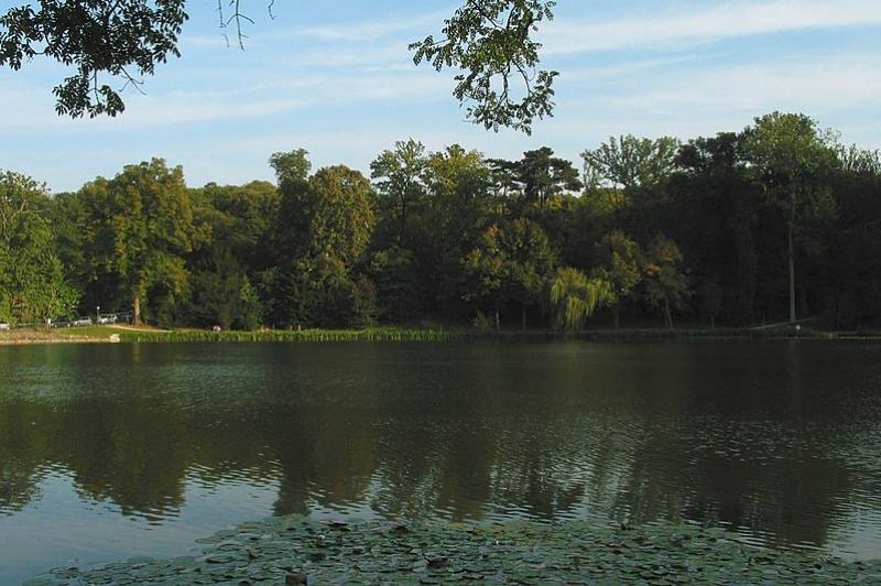 Les étangs de Corot à Ville-d'Avray : l'Étang neuf créé par Philippe d'Orléans dit «&nbsp;Monsieur&nbsp;», frère de Louis XIV  - Photo Gemuender, 2007