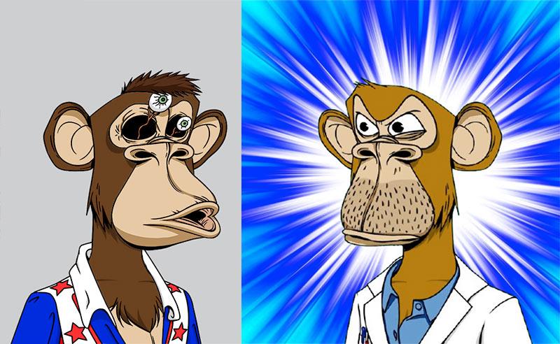 NFT #5465 et #68 de la série « Bored Ape Yacht Club » © Opensea