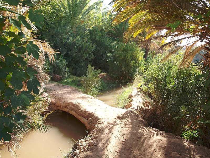 Technique traditionnelle d'irrigation. © Ali Aboulahcen