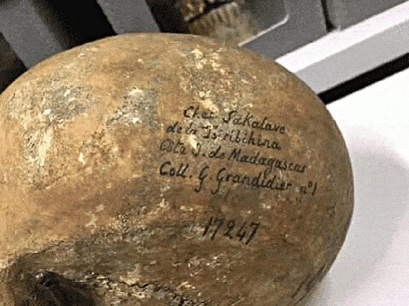 Le crâne de Toera, roi de la province de Sakalava à Madagascar  © DR 