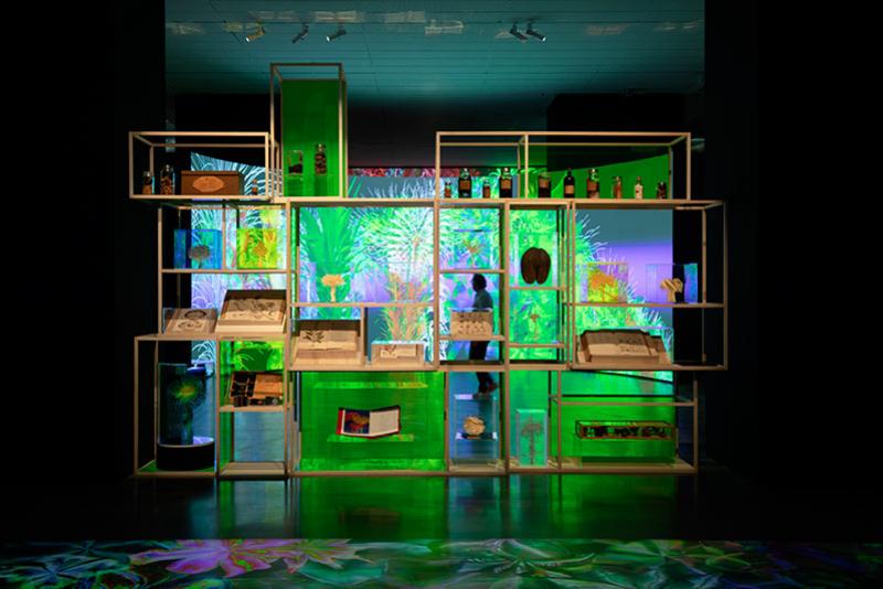 Miguel Chevalier, Cabinet de curiosités, 2025, vue de l'exposition au Musée des beaux-arts d'Angers. © Thomas Granovsky © Adagp Paris 2025